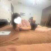 ヒメ日記 2025/12/14 13:09 投稿 ねね ハイブリッドヘルス小岩中央