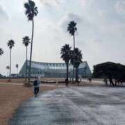 ヒメ日記 2026/02/15 23:30 投稿 カグラ いたずらバニーちゃん