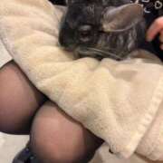 ヒメ日記 2026/03/22 12:20 投稿 カグラ いたずらバニーちゃん