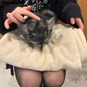 ヒメ日記 2026/04/04 16:20 投稿 カグラ いたずらバニーちゃん