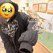 ヒメ日記 2026/04/14 17:40 投稿 カグラ いたずらバニーちゃん