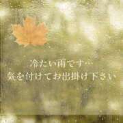 ヒメ日記 2025/12/14 07:14 投稿 宮澤祐里 五十路マダムエクスプレス船橋店(カサブランカグループ)