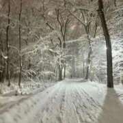 ヒメ日記 2025/12/17 14:33 投稿 おと 花火-hanabi-(すすきの)