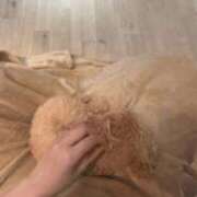 ヒメ日記 2026/05/20 14:03 投稿 おと 花火-hanabi-(すすきの)