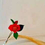 ヒメ日記 2026/01/07 06:12 投稿 北川　りこ アムアージュ