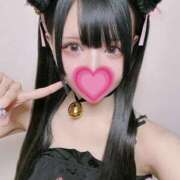 ヒメ日記 2025/12/12 12:21 投稿 ねこ☆ぬるぬるにゃんにゃん じゃむじゃむ