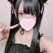 ヒメ日記 2026/01/02 20:21 投稿 ねこ☆ぬるぬるにゃんにゃん じゃむじゃむ