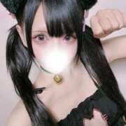 ヒメ日記 2026/01/23 21:51 投稿 ねこ☆ぬるぬるにゃんにゃん じゃむじゃむ