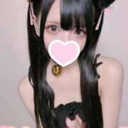 ねこ☆ぬるぬるにゃんにゃん どこだと思う？🤔 じゃむじゃむ