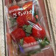 ヒメ日記 2026/02/06 12:02 投稿 金咲 メイサ VECTRUS（ベクトラス）