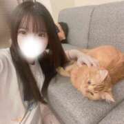 ふう 🎀 急遽出勤 🎀 チューリップ福井本館