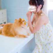 ヒメ日記 2025/12/13 08:56 投稿 しののめ(新人割1/4まで) ニュー不夜城