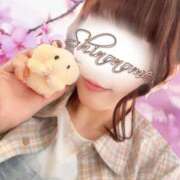 ヒメ日記 2025/12/20 09:45 投稿 しののめ(新人割1/4まで) ニュー不夜城