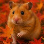 ヒメ日記 2025/12/20 15:36 投稿 しののめ(新人割1/4まで) ニュー不夜城