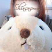 ヒメ日記 2025/12/29 09:02 投稿 しののめ(新人割1/4まで) ニュー不夜城