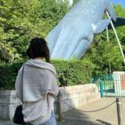 ヒメ日記 2025/12/29 12:15 投稿 しののめ(新人割1/4まで) ニュー不夜城