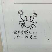 ヒメ日記 2026/07/29 18:01 投稿 しいな エマニエル秋葉原