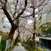 ヒメ日記 2026/04/03 15:16 投稿 リョウ エピソード(品川)