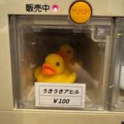 ヒメ日記 2026/06/17 13:16 投稿 リョウ エピソード(品川)