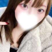 ヒメ日記 2025/12/09 11:03 投稿 むすぶ（説明不要の可愛さ！ ハニービー（Honey Bee）