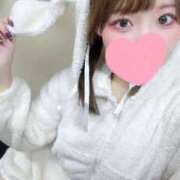 ヒメ日記 2025/12/10 11:53 投稿 むすぶ（説明不要の可愛さ！ ハニービー（Honey Bee）