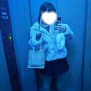 ヒメ日記 2025/12/11 04:33 投稿 むすぶ（説明不要の可愛さ！ ハニービー（Honey Bee）