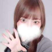 ヒメ日記 2025/12/11 11:53 投稿 むすぶ（説明不要の可愛さ！ ハニービー（Honey Bee）