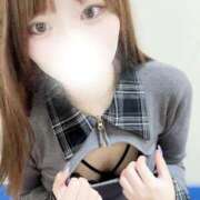 ヒメ日記 2025/12/11 14:23 投稿 むすぶ（説明不要の可愛さ！ ハニービー（Honey Bee）