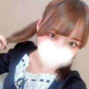 ヒメ日記 2025/12/12 20:33 投稿 むすぶ（説明不要の可愛さ！ ハニービー（Honey Bee）