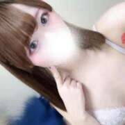 ヒメ日記 2025/12/13 05:03 投稿 むすぶ（説明不要の可愛さ！ ハニービー（Honey Bee）