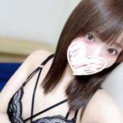 ヒメ日記 2025/12/13 16:03 投稿 むすぶ（説明不要の可愛さ！ ハニービー（Honey Bee）