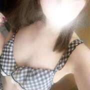 ヒメ日記 2025/12/13 19:33 投稿 むすぶ（説明不要の可愛さ！ ハニービー（Honey Bee）