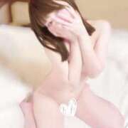 ヒメ日記 2025/12/13 22:13 投稿 むすぶ（説明不要の可愛さ！ ハニービー（Honey Bee）