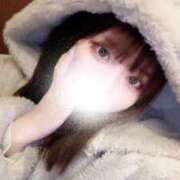 ヒメ日記 2025/12/14 04:03 投稿 むすぶ（説明不要の可愛さ！ ハニービー（Honey Bee）