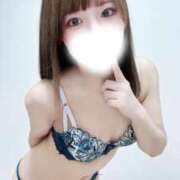 ヒメ日記 2025/12/14 08:13 投稿 むすぶ（説明不要の可愛さ！ ハニービー（Honey Bee）