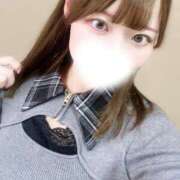 ヒメ日記 2025/12/14 11:53 投稿 むすぶ（説明不要の可愛さ！ ハニービー（Honey Bee）