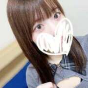 ヒメ日記 2025/12/14 17:33 投稿 むすぶ（説明不要の可愛さ！ ハニービー（Honey Bee）