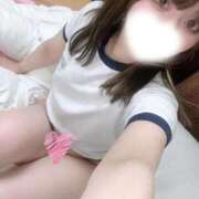 ヒメ日記 2026/02/11 01:33 投稿 むすぶ（説明不要の可愛さ！ ハニービー（Honey Bee）