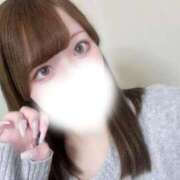 ヒメ日記 2026/02/11 12:25 投稿 むすぶ（説明不要の可愛さ！ ハニービー（Honey Bee）