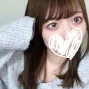 ヒメ日記 2026/02/11 18:33 投稿 むすぶ（説明不要の可愛さ！ ハニービー（Honey Bee）