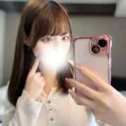 ヒメ日記 2026/02/12 12:23 投稿 むすぶ（説明不要の可愛さ！ ハニービー（Honey Bee）