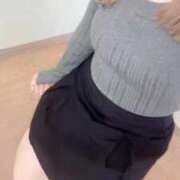 ヒメ日記 2026/02/12 14:13 投稿 むすぶ（説明不要の可愛さ！ ハニービー（Honey Bee）