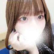 ヒメ日記 2026/02/14 19:13 投稿 むすぶ（説明不要の可愛さ！ ハニービー（Honey Bee）