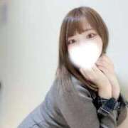 ヒメ日記 2026/02/14 20:03 投稿 むすぶ（説明不要の可愛さ！ ハニービー（Honey Bee）