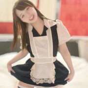 ヒメ日記 2026/02/15 08:13 投稿 むすぶ（説明不要の可愛さ！ ハニービー（Honey Bee）