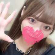 ヒメ日記 2026/02/15 22:53 投稿 むすぶ（説明不要の可愛さ！ ハニービー（Honey Bee）