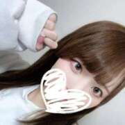 ヒメ日記 2026/02/16 08:03 投稿 むすぶ（説明不要の可愛さ！ ハニービー（Honey Bee）