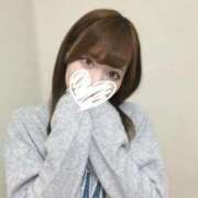 ヒメ日記 2026/02/16 19:19 投稿 むすぶ（説明不要の可愛さ！ ハニービー（Honey Bee）