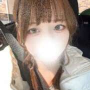 ヒメ日記 2026/03/23 12:10 投稿 むすぶ（説明不要の可愛さ！ ハニービー（Honey Bee）