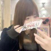 ヒメ日記 2026/03/30 12:13 投稿 むすぶ（説明不要の可愛さ！ ハニービー（Honey Bee）